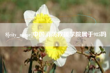 永春中国消防救援学院属于985吗