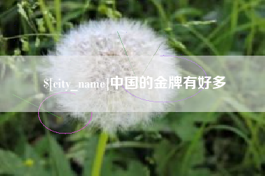 永春中国的金牌有好多