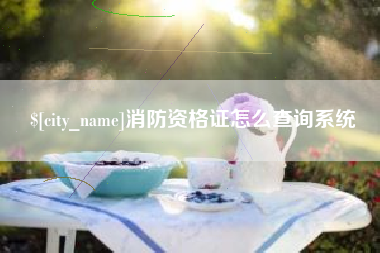 永春消防资格证怎么查询系统