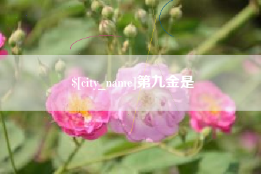 永春第九金是