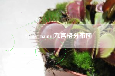 永春九宫格分布图