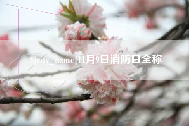 永春11月9日消防日全称