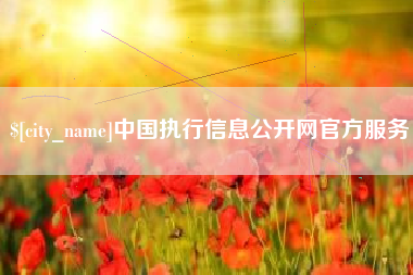 永春中国执行信息公开网官方服务