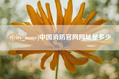 永春中国消防官网网址是多少