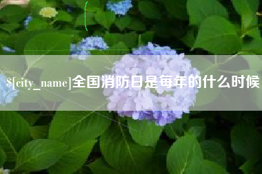 永春全国消防日是每年的什么时候