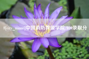 永春中国消防救援学院2020录取分