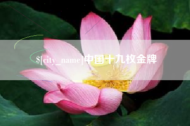 永春中国十九枚金牌