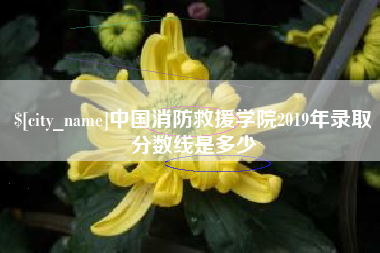 永春中国消防救援学院2019年录取分数线是多少
