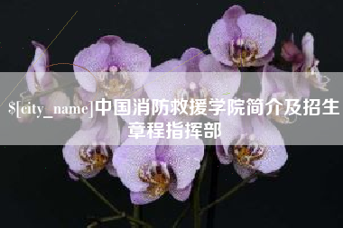 永春中国消防救援学院简介及招生章程指挥部