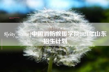 永春中国消防救援学院2021年山东招生计划