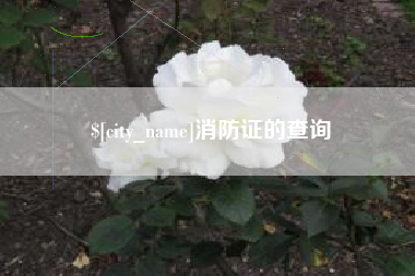 永春消防证的查询