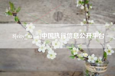 永春中国执行信息公开平台