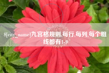 永春九宫格规则,每行,每列,每个粗线都有1-9