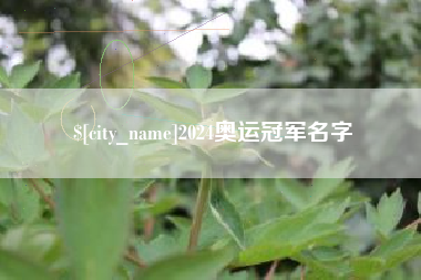 永春2024奥运冠军名字