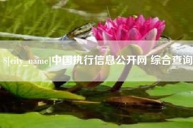 永春中国执行信息公开网 综合查询