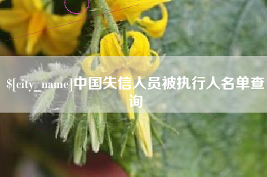 永春中国失信人员被执行人名单查询