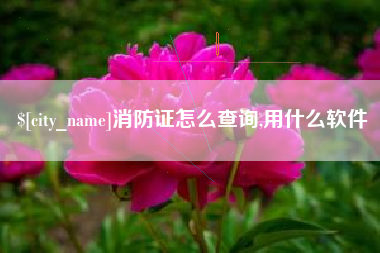 永春消防证怎么查询,用什么软件