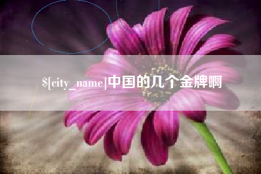 永春中国的几个金牌啊