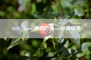 永春消防产品cccf认证目录