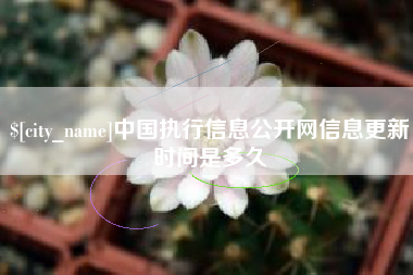 永春中国执行信息公开网信息更新时间是多久