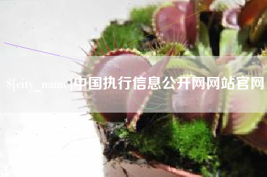 永春中国执行信息公开网网站官网
