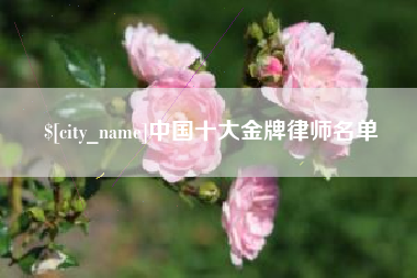 永春中国十大金牌律师名单