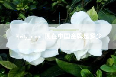 永春现在中国金牌是多少