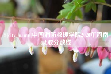 永春中国消防救援学院2020年河南录取分数线
