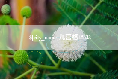永春九宫格42633