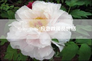 永春应急救援员价格