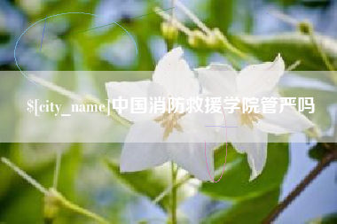 永春中国消防救援学院管严吗