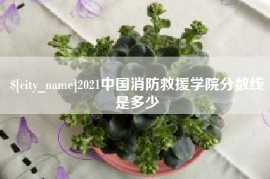 永春2021中国消防救援学院分数线是多少