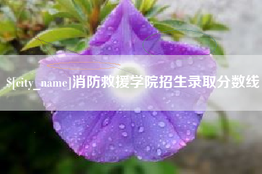 永春消防救援学院招生录取分数线