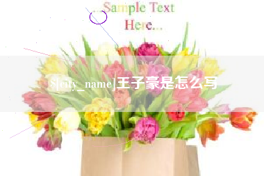 永春王子豪是怎么写