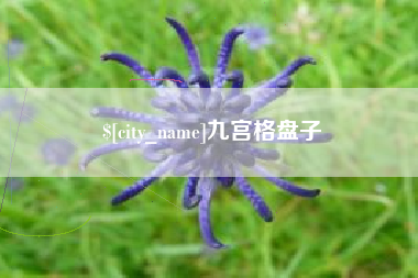 永春九宫格盘子