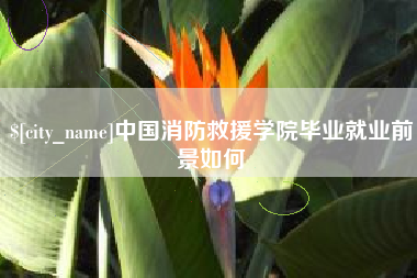 永春中国消防救援学院毕业就业前景如何