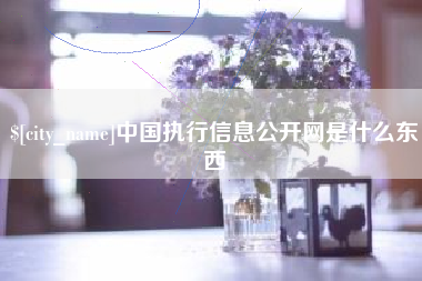 永春中国执行信息公开网是什么东西