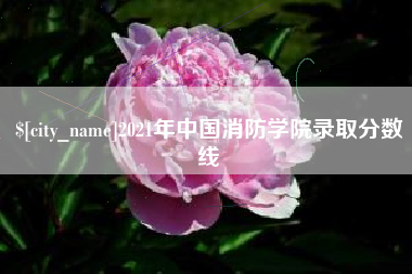 永春2021年中国消防学院录取分数线