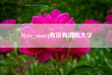 永春有没有消防大学