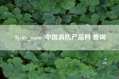 永春中国消防产品网 查询