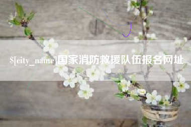 永春国家消防救援队伍报名网址