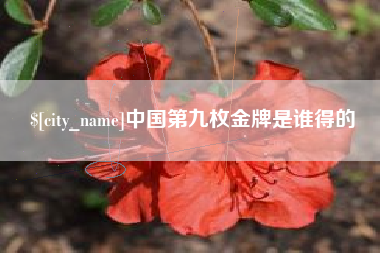 永春中国第九枚金牌是谁得的