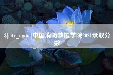 永春中国消防救援学院2021录取分数