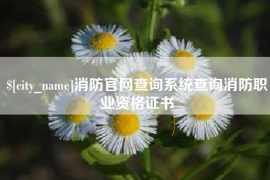 永春消防官网查询系统查询消防职业资格证书