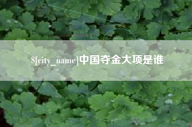永春中国夺金大项是谁