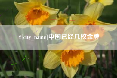 永春中国已经几枚金牌