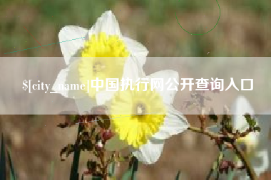 永春中国执行网公开查询入口