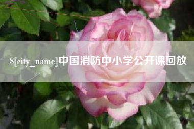 永春中国消防中小学公开课回放