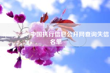 永春中国执行信息公开网查询失信名单