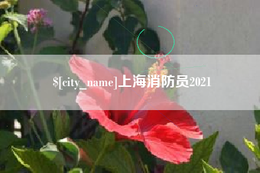 永春上海消防员2021